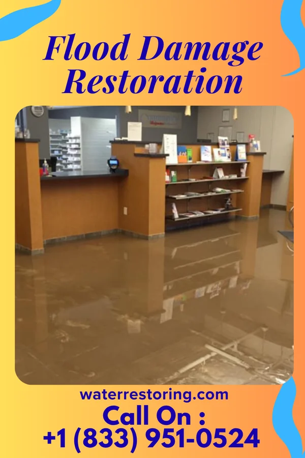 Flood Damage Restoration in Milner, GA