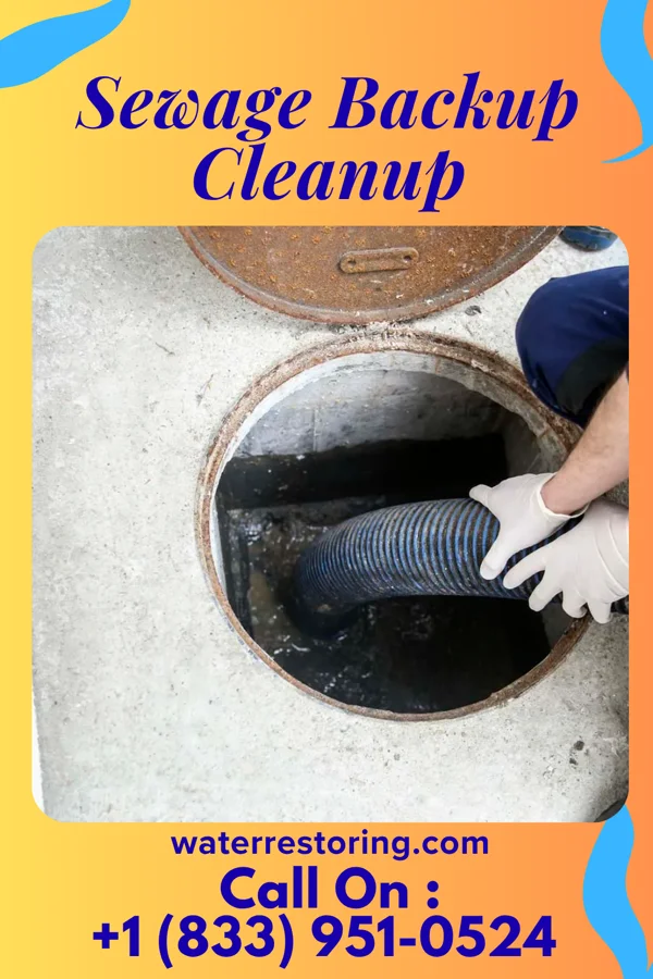 Sewage Backup Cleanup in Milner, GA