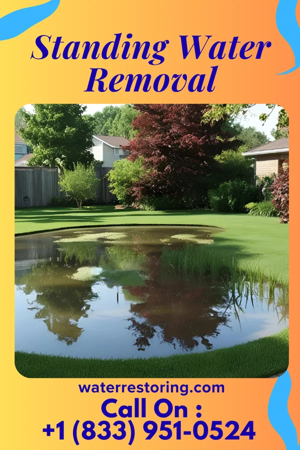 Standing Water Removal in Milner, GA